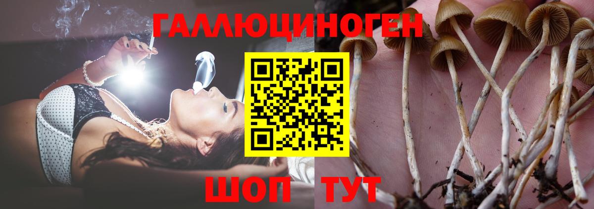 Волжск  Галлюциногенные грибы прущие грибы  купить  сайты  Вход с VPN  Галлюциногенные грибы ЛСД 